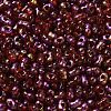 Spray Painted Glass Seed Beads SEED-F005-06A-01-3