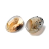 Natural Dendritic Agate Cabochons G-B138-02A-2