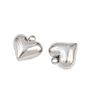 304 Stainless Steel Charms STAS-Z166-10P-2