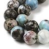 Natural Larimar Beads Strands G-P524-A02-03-4