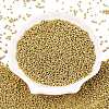 11/0 FGB Grade A Dyed Glass Seed Beads X-SEED-N001-C-0561-2