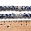 Natural Blue Spot Jasper Beads Strands G-H078-C20-01-5