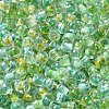Transparent Glass Round Seed Beads SEED-B001-05A-10-3