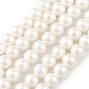 Shell Pearl Bead Strands BSHE-L026-03-6mm-2