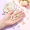 Pearlized Resin European Beads RESI-CJC0022-09-4