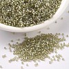 MIYUKI Delica Beads SEED-MY11-DB1766-1