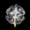 Transparent Acrylic & Stainless Steel Pendants TACR-G051-01G-02-1