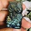 Dyed Natural Labradorite Carved Display Decorations PW-WG38302-08-1