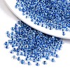 6/0 Glass Seed Beads SEED-A015-4mm-2208-1