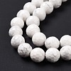 Natural Howlite Beads Strands G-E571-29B-4