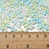 Macaron Color Opaque Frosted Glass Seed Beads X1-SEED-K009-12B-03-4
