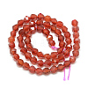 Natural Carnelian Beads Strands G-S149-18-10mm-2