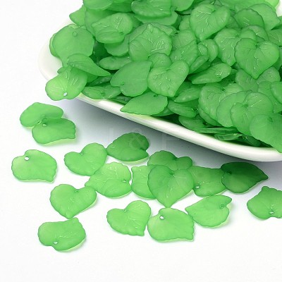 Transparent Acrylic Pendants PL591-6-1