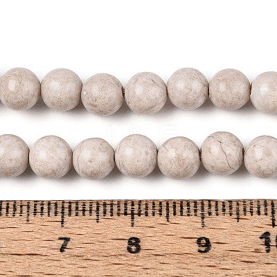 Dyed Natural Fossil Beads Strands G-T139-6mm-66A-1