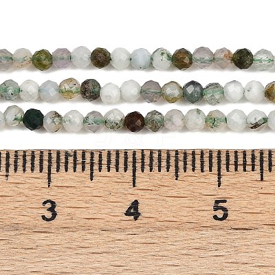 Natural Moss Agate Beads Strands G-RM2025-A33-2mm-1
