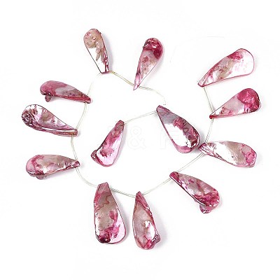AB Color Plated Dyed Natural Freshwater Shell Beads Strands SHEL-T020-55A-1