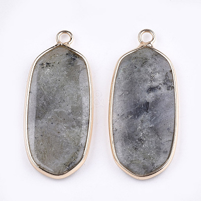 Natural Labradorite Pendants X-G-T112-23A-1