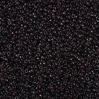 MIYUKI Round Rocailles Beads X-SEED-G009-RR2402-1