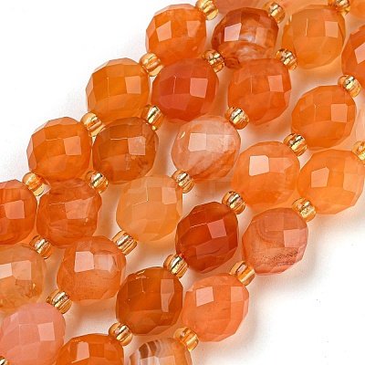 Natural Orange Botswana Agate Beads Strands G-N342-45-1