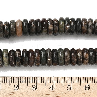 Natural Biotite Beads Strands G-B155-B04-4x10mm-1