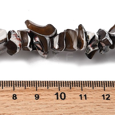 Natural Trochid Shell/Trochus Shell Beads Strands SHEL-B003-02-1