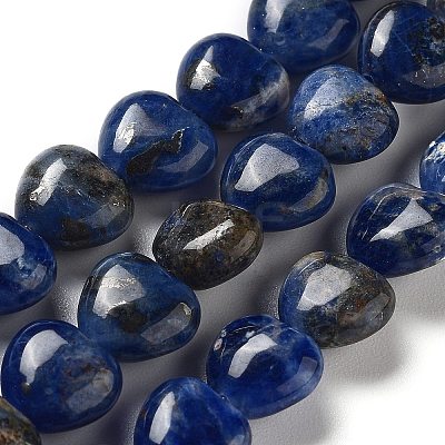 Natural Sodalite Beads Strands G-P528-C09-01-1