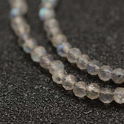 Natural Labradorite Beads Strands G-K182-2mm-25A-1