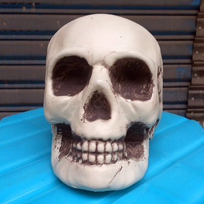 Halloween Theme Display Decoration SKUL-PW0001-062C-1