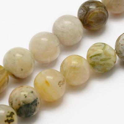 Natural Bamboo Leaf Agate Beads Strands G-K194-4mm-01-1