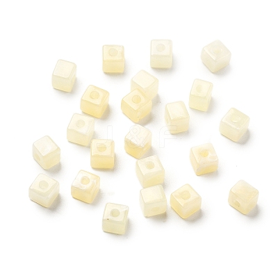 Transparent Acrylic Beads OACR-H044-04A-01-1