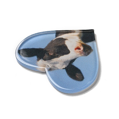 Opaque Acrylic Pendants X-SACR-P020-A02-1