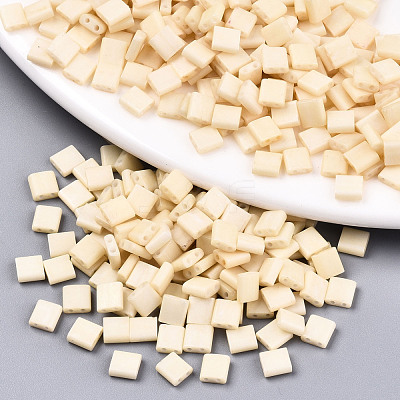 FGB 2-Hole Glass Seed Beads X-SEED-S031-L-ST1001F-1