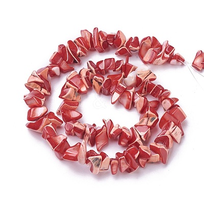 Freshwater Shell Beads Strands BSHE-L039-05-1