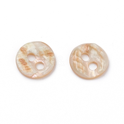 Abalone Shell/Paua Shell BSHE-I011-04E-1