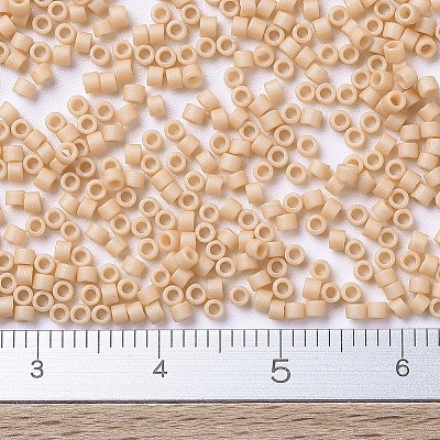 MIYUKI Delica Beads LS-X-SEED-J020-DB0389-1