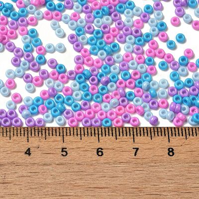 Baking Paint Glass Seed Beads SEED-P006-03A-19-1