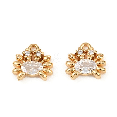 Ocean Theme Brass Micro Pave Cubic Zirconia Charms X1-KK-F902-08K-G-1