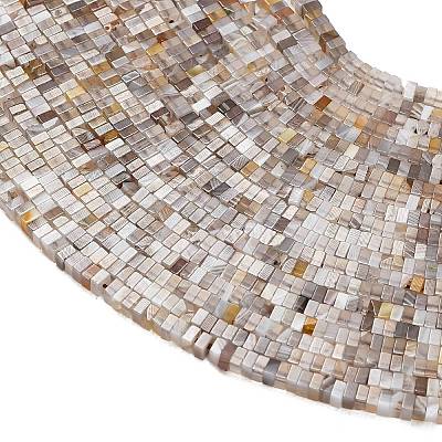 Natural Botswana Agate Beads Strands GG-CBA2498-C06-01-1