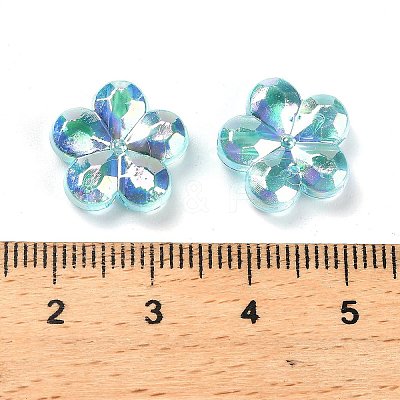Transaparent Acrylic Beads PACR-H004-01L-1