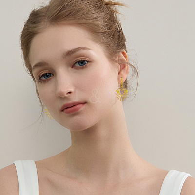 2Pairs 2 Colors 304 Stainless Steel Hoop Earrings EJEW-HS0001-25-1