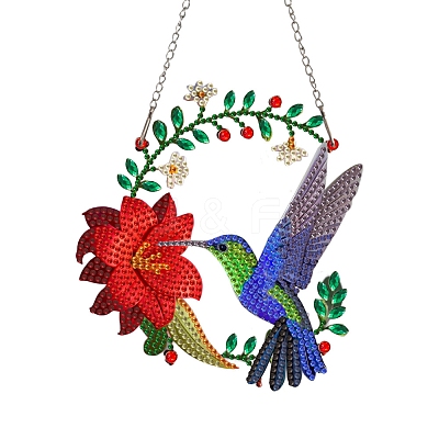 Hummingbird Diamond Painting Kit PW-WG20816-01-1
