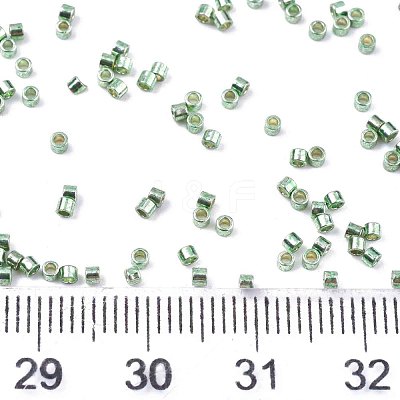 FGB 11/0 Grade A Glass Seed Beads X-SEED-S030-1217-1