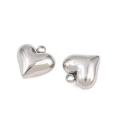 304 Stainless Steel Charms STAS-Z166-10P-1
