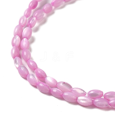 Natural Trochus Shell Beads Strands SHEL-K006-19-1