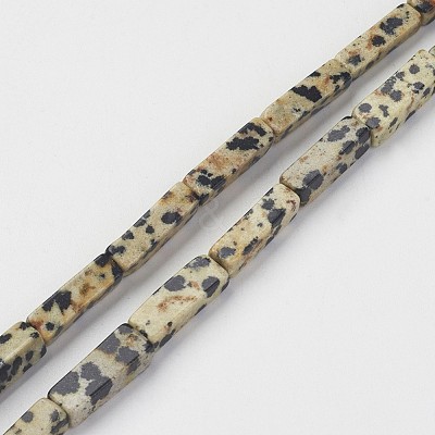 Natural Dalmatian Jasper Beads Strands X-G-G968-D10-1