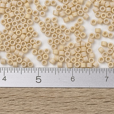 MIYUKI Delica Beads Small X-SEED-J020-DBS1591-1
