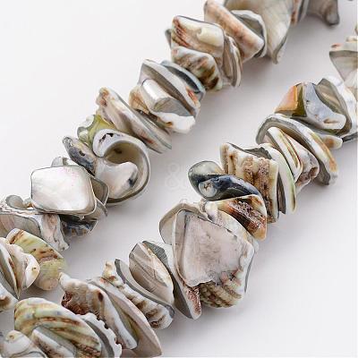 Natural Shell Bead Strands BSHE-P010-08-1