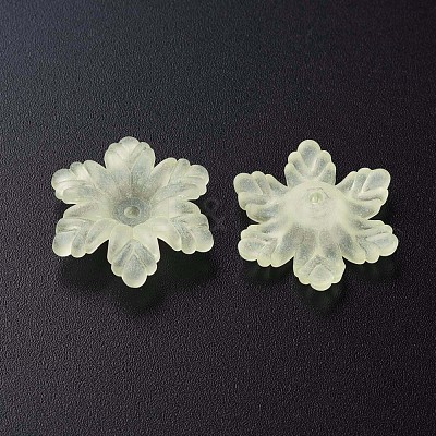 Transparent Acrylic Beads MACR-S373-117-D03-1