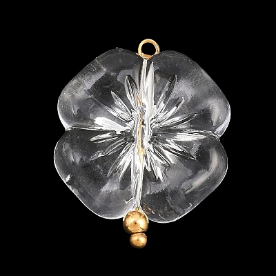 Transparent Acrylic & Stainless Steel Pendants TACR-G051-01G-02-1