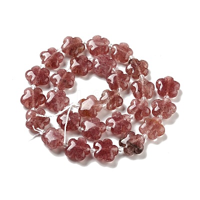 Natural Strawberry Quartz Beads Strands G-D475-02G-1